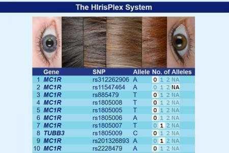 Исследователи запустили бесплатный онлайн-сервис HIrisPlex-S, который позволяет определить цвет глаз, кожи и волос по образцу ДНК