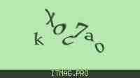 Защитный код
