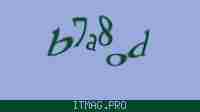 Защитный код