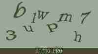Защитный код