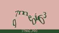 Защитный код