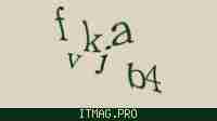 Защитный код