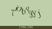 Защитный код