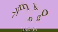 Защитный код