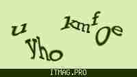 Защитный код