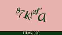 Защитный код