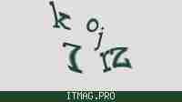 Защитный код