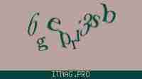 Защитный код