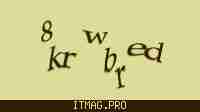 Защитный код