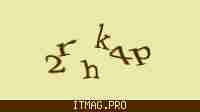 Защитный код