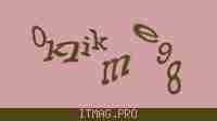 Защитный код