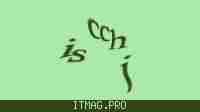 Защитный код