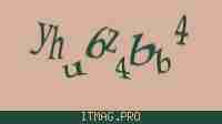 Защитный код
