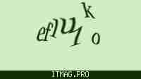 Защитный код