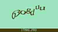 Защитный код