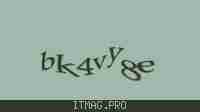 Защитный код