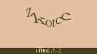 Защитный код