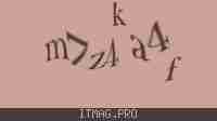 Защитный код