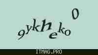 Защитный код