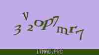 Защитный код