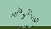 Защитный код
