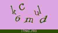 Защитный код