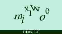 Защитный код