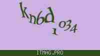 Защитный код