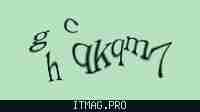 Защитный код