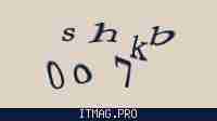 Защитный код