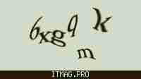 Защитный код