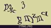 Защитный код