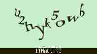 Защитный код