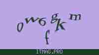 Защитный код