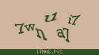 Защитный код