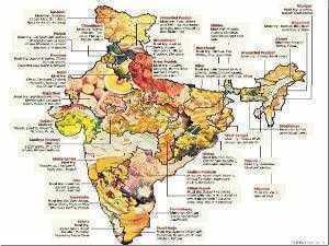 Foodmap