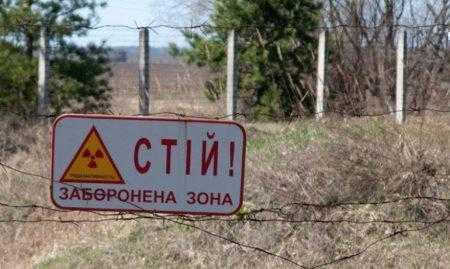Две украинские компании получили участки в зоне отчуждения ЧАЭС для строительства солнечных электростанций