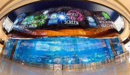 LG разместила в ТЦ Dubai Mall гигантский экран OLED размерами 50х14 метров, установив сразу три мировых рекорда