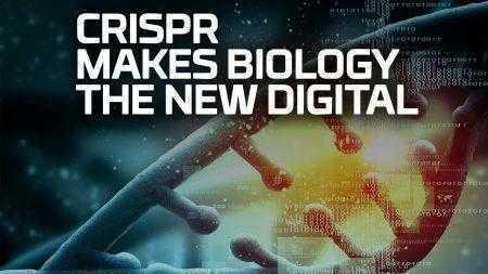 Ученым при помощи технологии CRISPR удалось записать простенькую анимацию в геном живой бактерии
