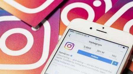 Instagram будет показывать предупреждение, если пользователь ищет фото с дикими животными, находящимися в неволе