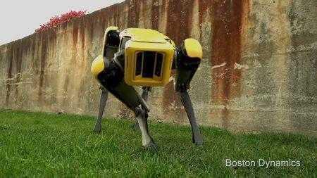 Видео: Boston Dynamics показала нового четвероногого робота SpotMini с милой внешностью